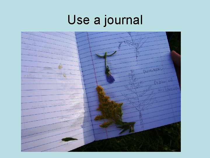 Use a journal 