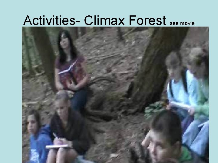 Activities- Climax Forest see movie 