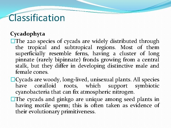 Classification Cycadophyta �The 220 species of cycads are widely distributed through the tropical and