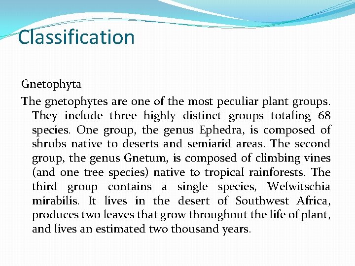 Classification Gnetophyta The gnetophytes are one of the most peculiar plant groups. They include