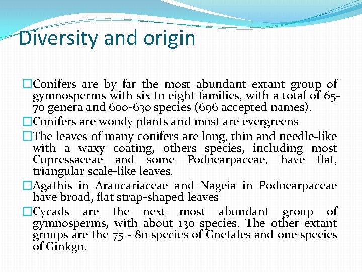 Diversity and origin �Conifers are by far the most abundant extant group of gymnosperms