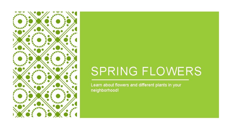 SPRING FLOWERS Learn about flowers and different plants in your neighborhood! 