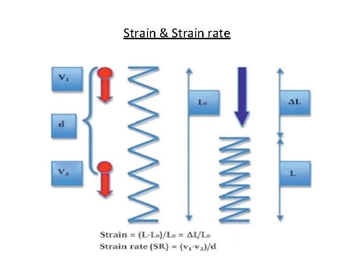 Strain & Strain rate 