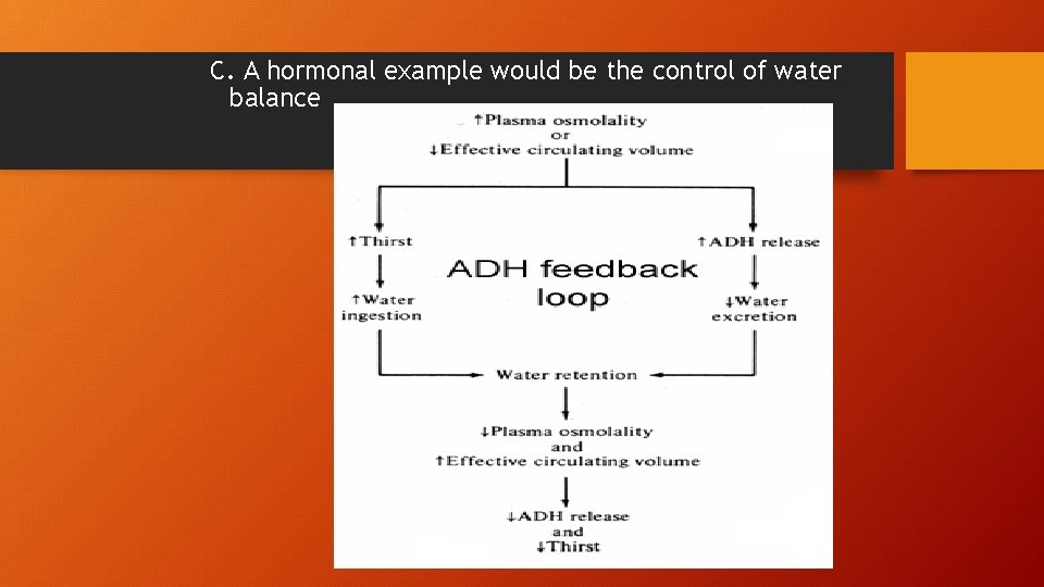 C. A hormonal example would be the control of water balance 