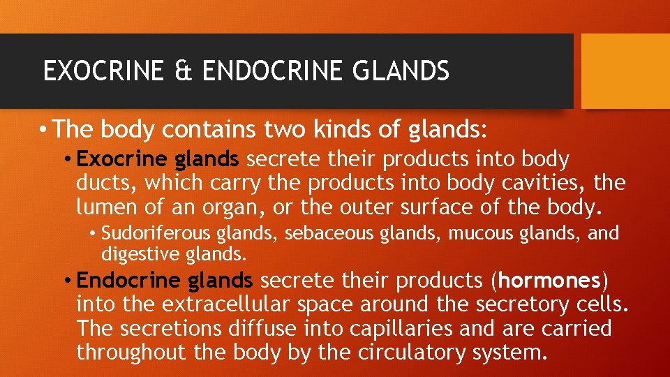 EXOCRINE & ENDOCRINE GLANDS • The body contains two kinds of glands: • Exocrine