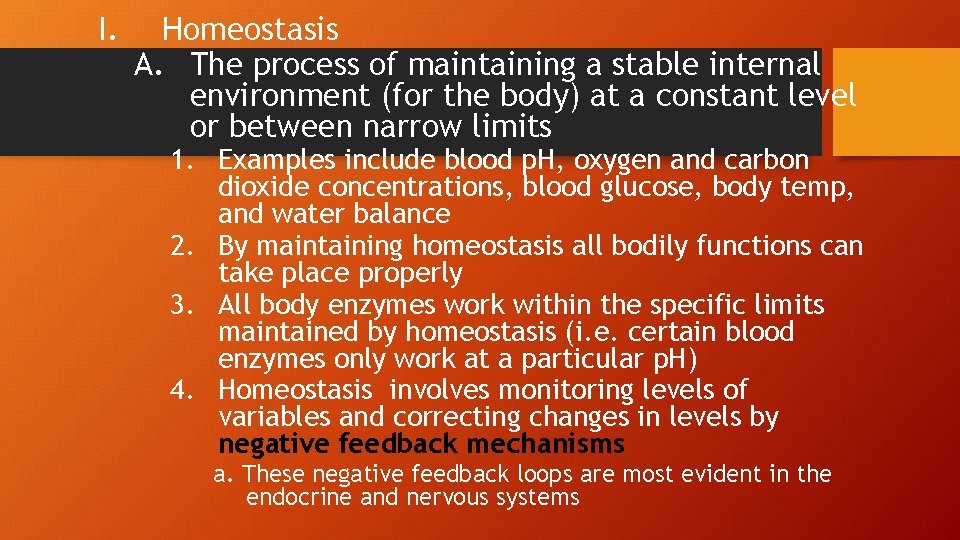 I. Homeostasis A. The process of maintaining a stable internal environment (for the body)