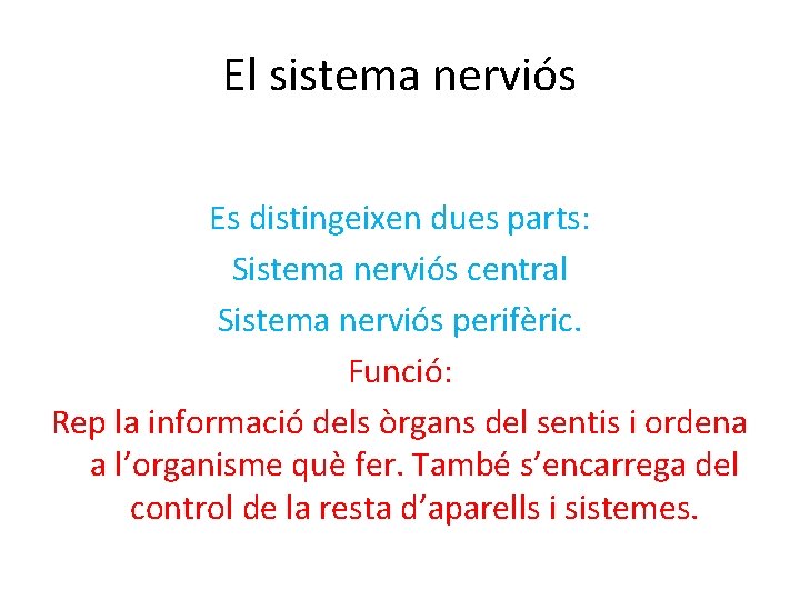 El sistema nerviós Es distingeixen dues parts: Sistema nerviós central Sistema nerviós perifèric. Funció: