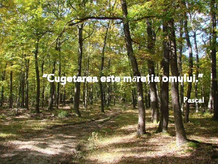 “Cugetarea este măreţia omului. ” Pascal 