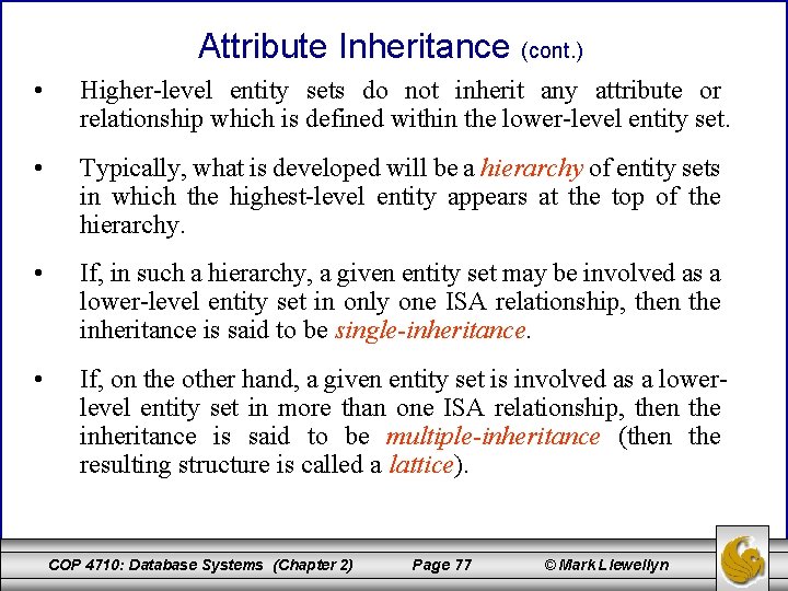 Attribute Inheritance (cont. ) • Higher-level entity sets do not inherit any attribute or