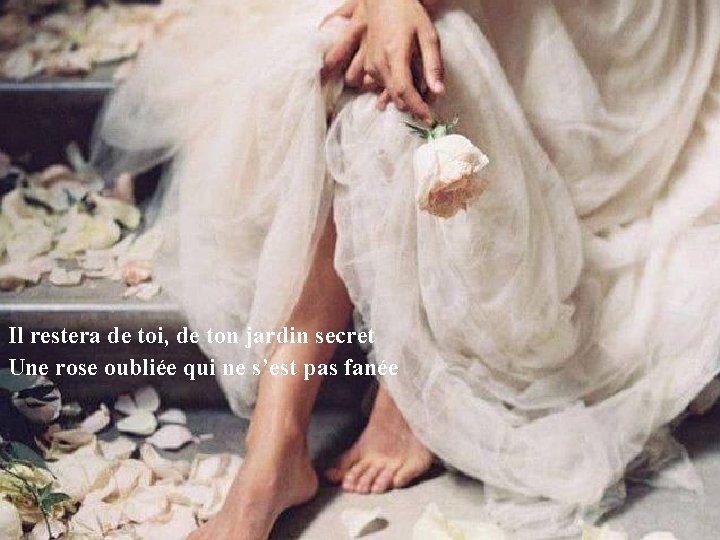 Il restera de toi, de ton jardin secret Une rose oubliée qui ne s’est