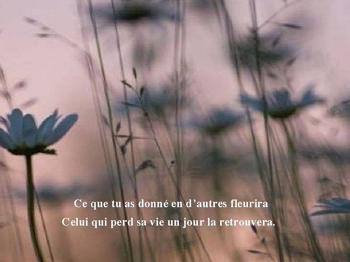 Ce que tu as donné en d’autres fleurira Celui qui perd sa vie un