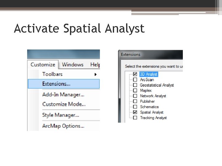 Activate Spatial Analyst 