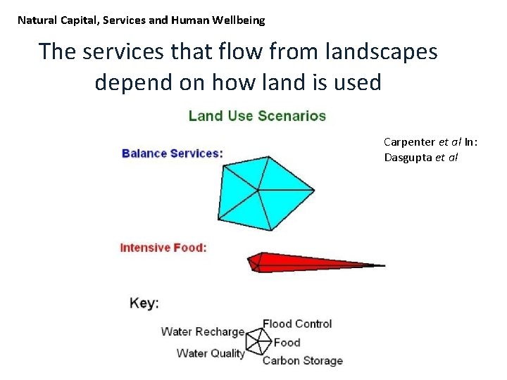 Natural Capital, Services and Human Wellbeing The services that flow from landscapes depend on
