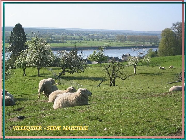 VILLEQUIER - SEINE MARITIME 