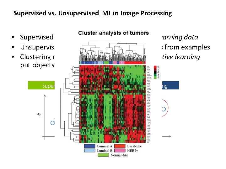 Supervised vs. Unsupervised ML in Image Processing • Supervised learning requires fully annotated learning Supervised vs. Unsupervised ML in Image Processing • Supervised learning requires fully annotated learning