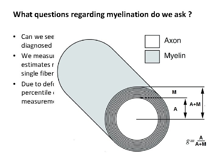 What questions regarding myelination do we ask ? • Can we see differences in What questions regarding myelination do we ask ? • Can we see differences in