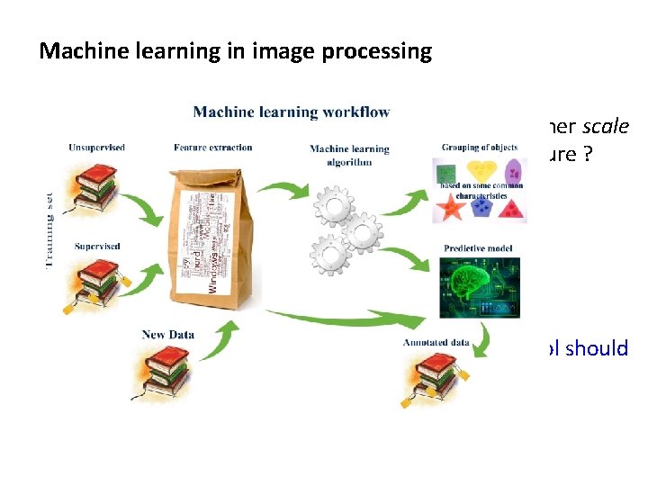 Machine learning in image processing q How to model and extract morphometric and/or other Machine learning in image processing q How to model and extract morphometric and/or other