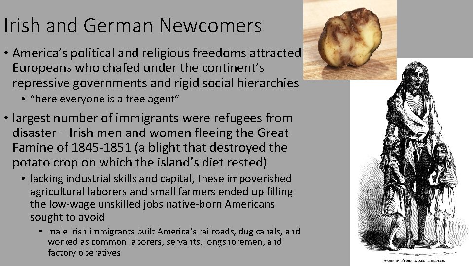 Irish and German Newcomers • America’s political and religious freedoms attracted Europeans who chafed