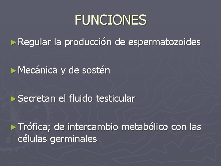 FUNCIONES ► Regular la producción de espermatozoides ► Mecánica y de sostén ► Secretan