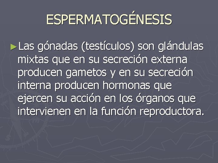 ESPERMATOGÉNESIS ►Las gónadas (testículos) son glándulas mixtas que en su secreción externa producen gametos