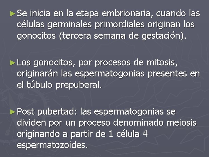 ► Se inicia en la etapa embrionaria, cuando las células germinales primordiales originan los