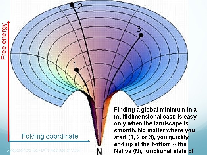 Free energy 2 3 1 Folding coordinate Adopted from Ken Dill’s web site at