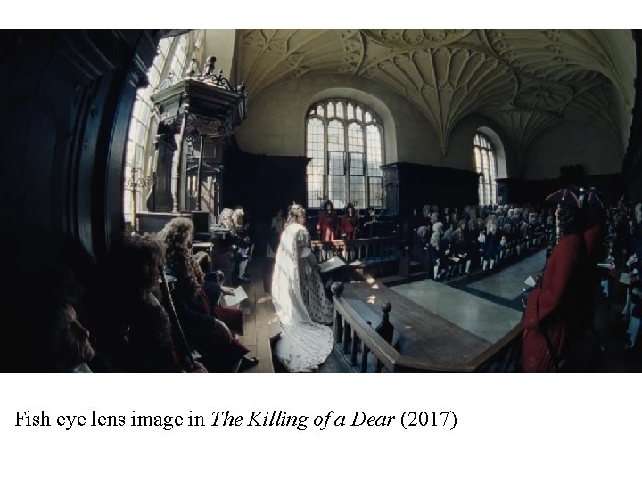 Fish eye lens image in The Killing of a Dear (2017) 