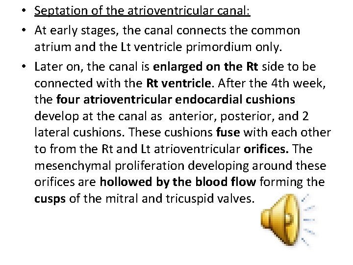  • Septation of the atrioventricular canal: • At early stages, the canal connects