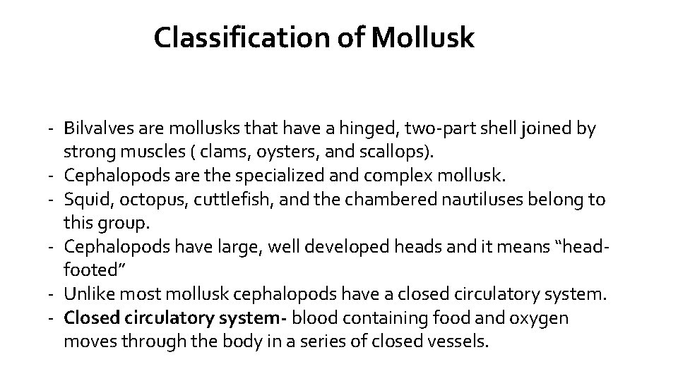 Classification of Mollusk - Bilvalves are mollusks that have a hinged, two-part shell joined