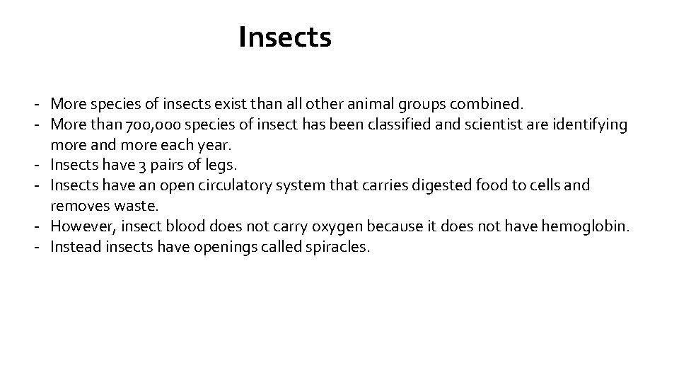 Insects - More species of insects exist than all other animal groups combined. -