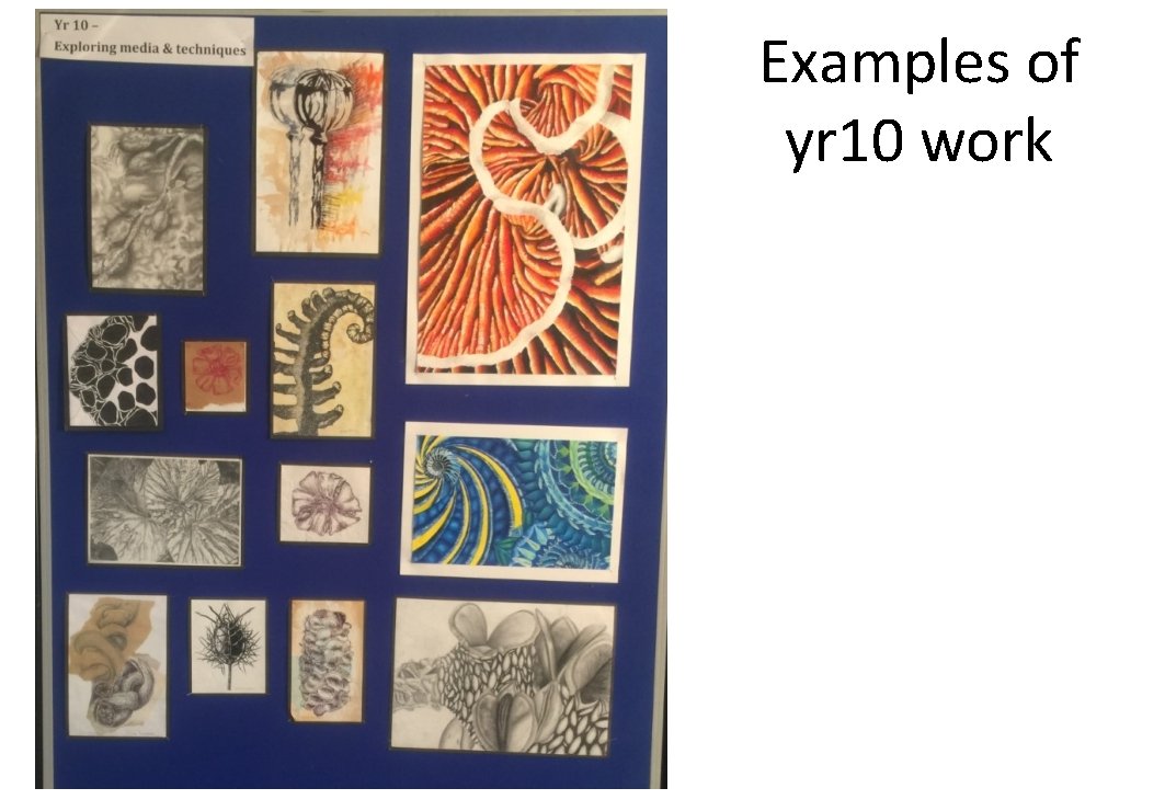 Examples of yr 10 work 