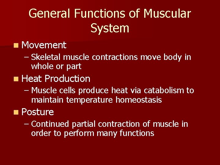 General Functions of Muscular System n Movement – Skeletal muscle contractions move body in
