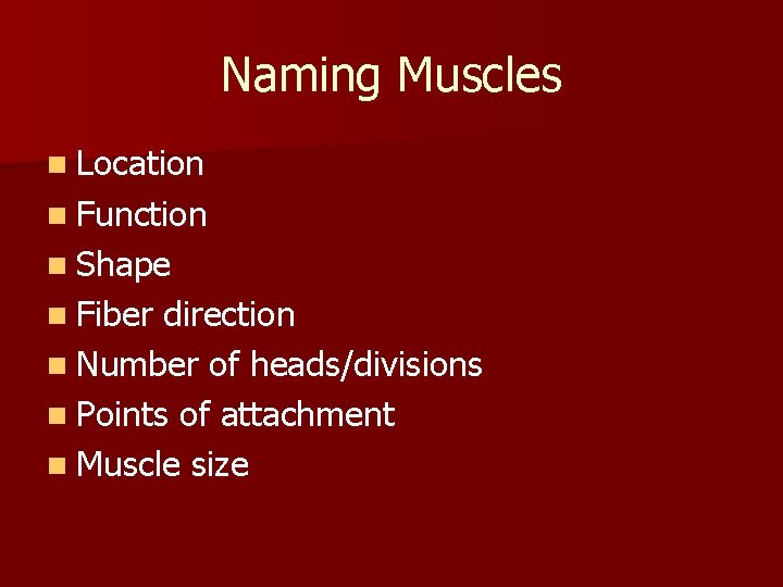 Naming Muscles n Location n Function n Shape n Fiber direction n Number of