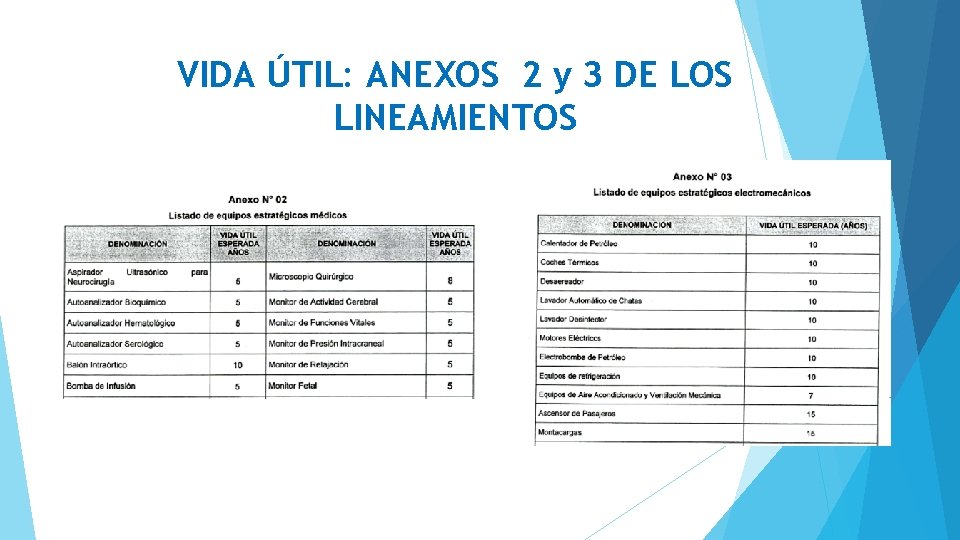 VIDA ÚTIL: ANEXOS 2 y 3 DE LOS LINEAMIENTOS 