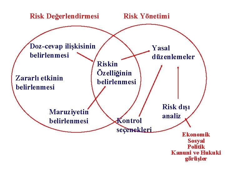 Risk Değerlendirmesi Risk Yönetimi Doz-cevap ilişkisinin belirlenmesi Zararlı etkinin belirlenmesi Maruziyetin belirlenmesi Riskin Özelliğinin