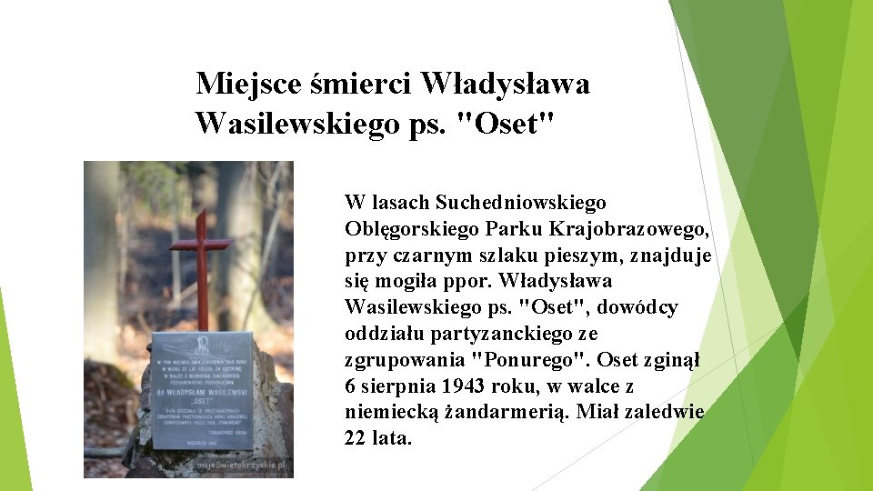 Miejsce śmierci Władysława Wasilewskiego ps. "Oset" W lasach Suchedniowskiego Oblęgorskiego Parku Krajobrazowego, przy czarnym