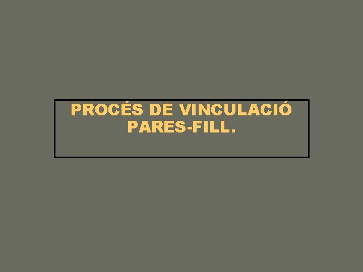 PROCÉS DE VINCULACIÓ PARES-FILL. 