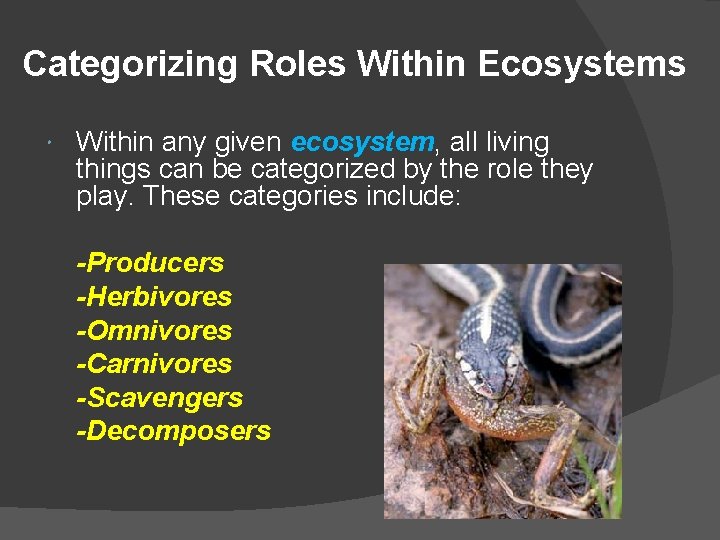 An Introduction to Ecology Sections 1 2 3