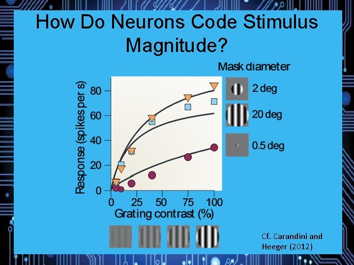 How Do Neurons Code Stimulus Magnitude? Cf. Carandini and Heeger (2012) 