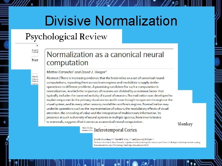Divisive Normalization 