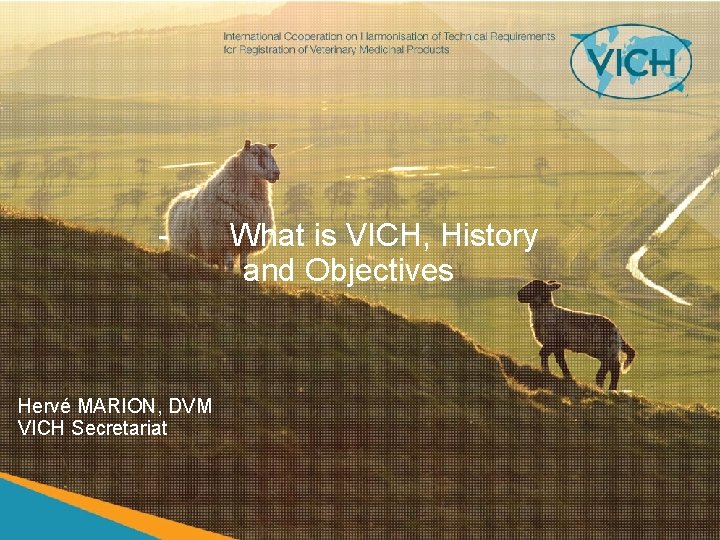 - Hervé MARION, DVM VICH Secretariat What is VICH, History and Objectives 