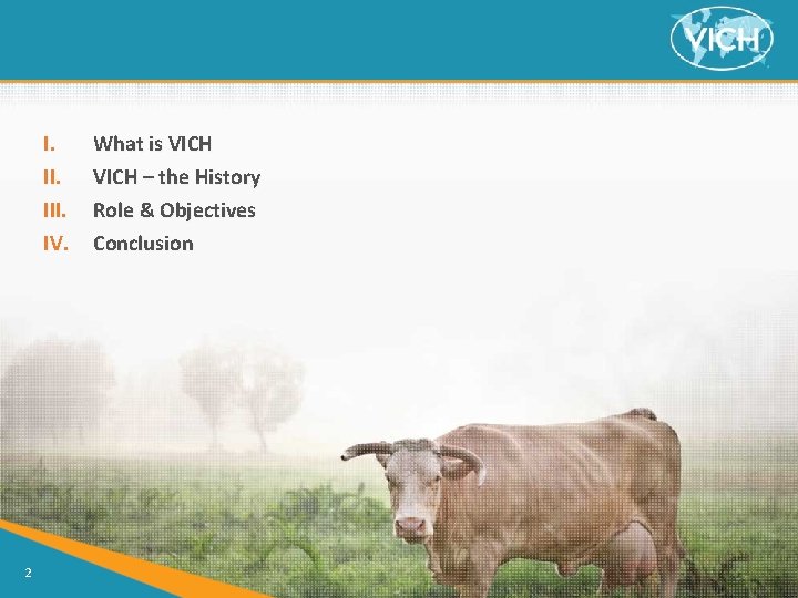 I. III. IV. 2 What is VICH – the History Role & Objectives Conclusion