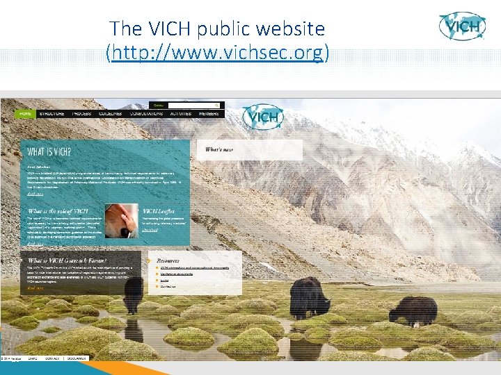 The VICH public website (http: //www. vichsec. org) 26 26 