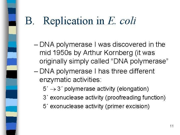 B. Replication in E. coli – DNA polymerase I was discovered in the mid