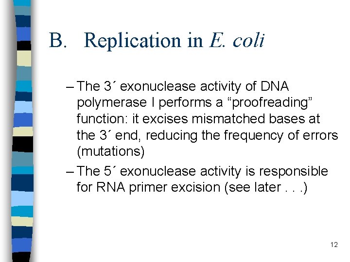 B. Replication in E. coli – The 3´ exonuclease activity of DNA polymerase I