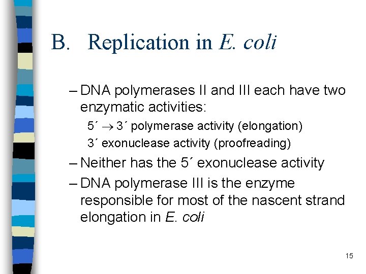 B. Replication in E. coli – DNA polymerases II and III each have two