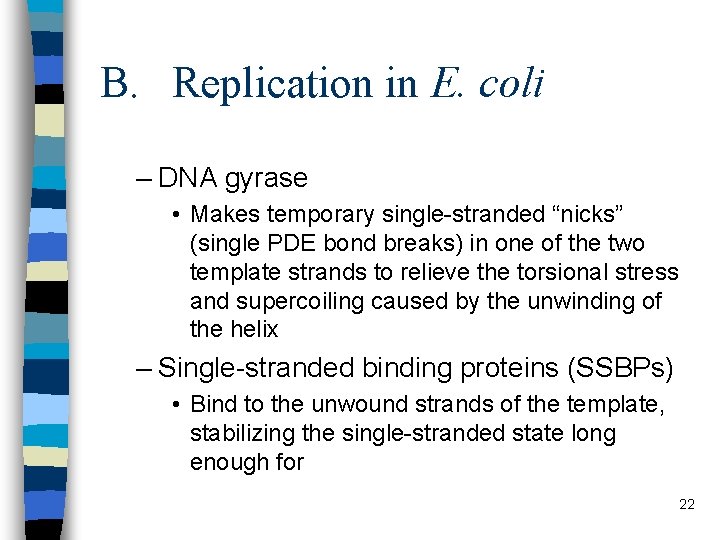 B. Replication in E. coli – DNA gyrase • Makes temporary single-stranded “nicks” (single
