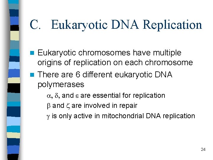 C. Eukaryotic DNA Replication Eukaryotic chromosomes have multiple origins of replication on each chromosome