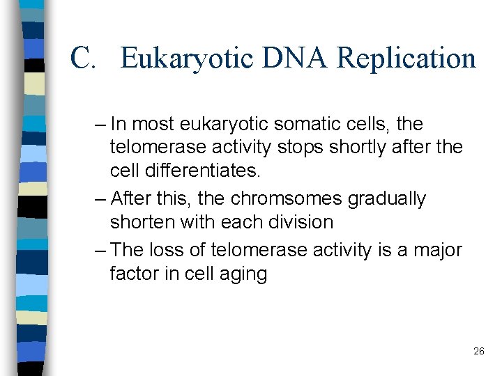 C. Eukaryotic DNA Replication – In most eukaryotic somatic cells, the telomerase activity stops