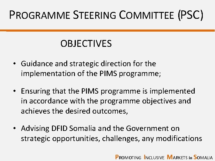 PROGRAMME STEERING COMMITTEE (PSC) OBJECTIVES • Guidance and strategic direction for the implementation of